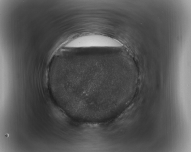 X0000086260194200704122016