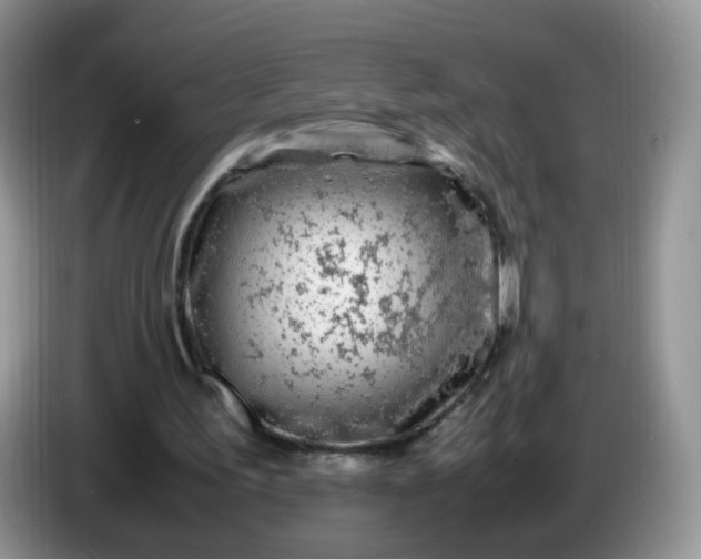 X0000086260195200704122016