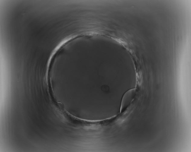 X0000086260196200704122016