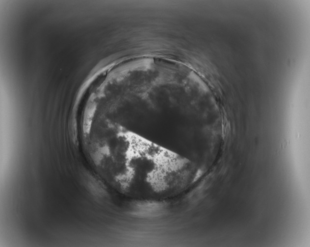 X0000086260198200704122016