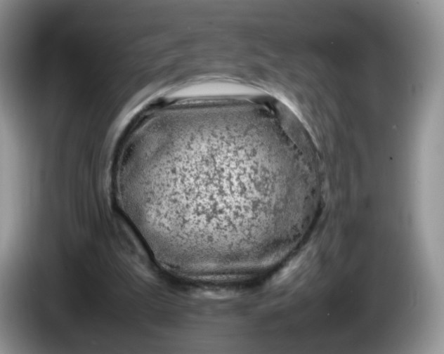 X0000086260199200704122016