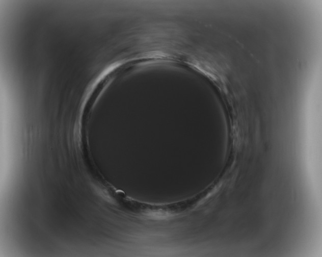 X0000086260200200704122016