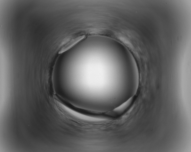 X0000086260201200704122016