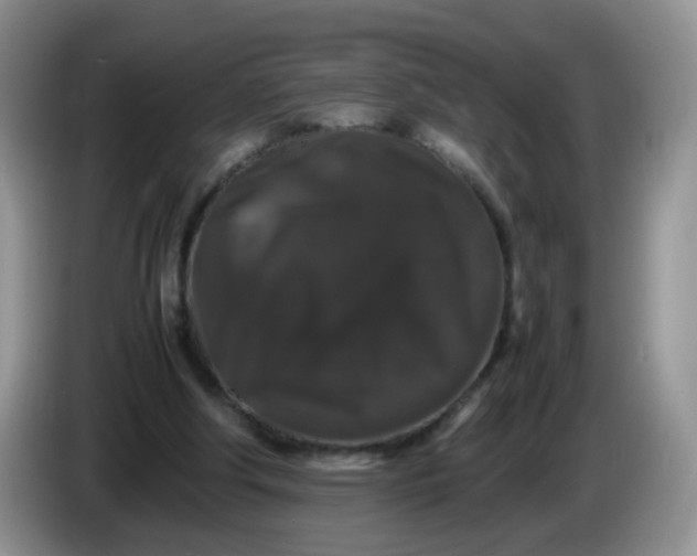 X0000086260202200704122016