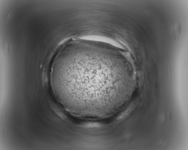 X0000086260203200704122016