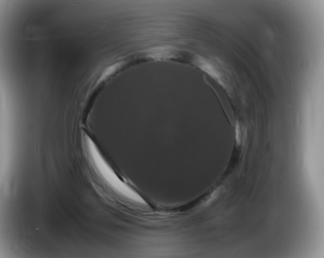 X0000086260205200704122016