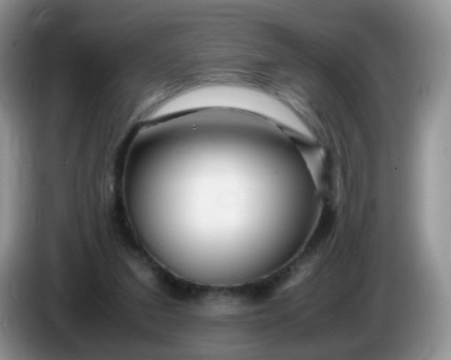 X0000086260207200704122016
