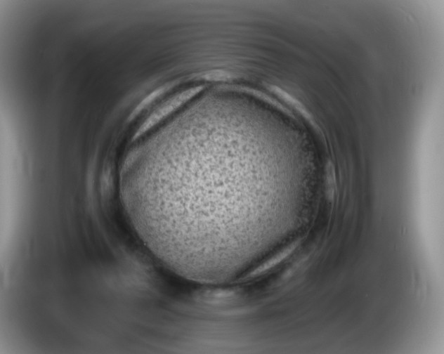 X0000086260208200704122016