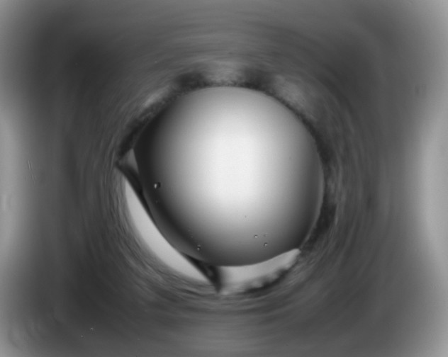 X0000086260211200704122016