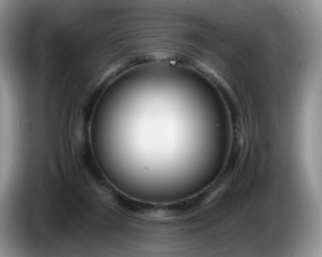 X0000086260212200704122016