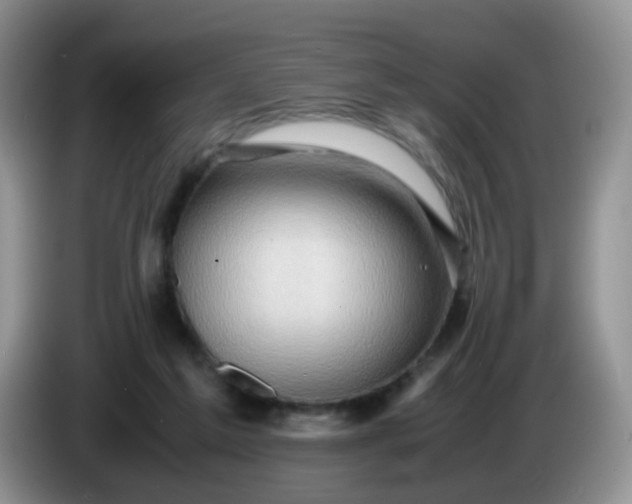 X0000086260213200704122016