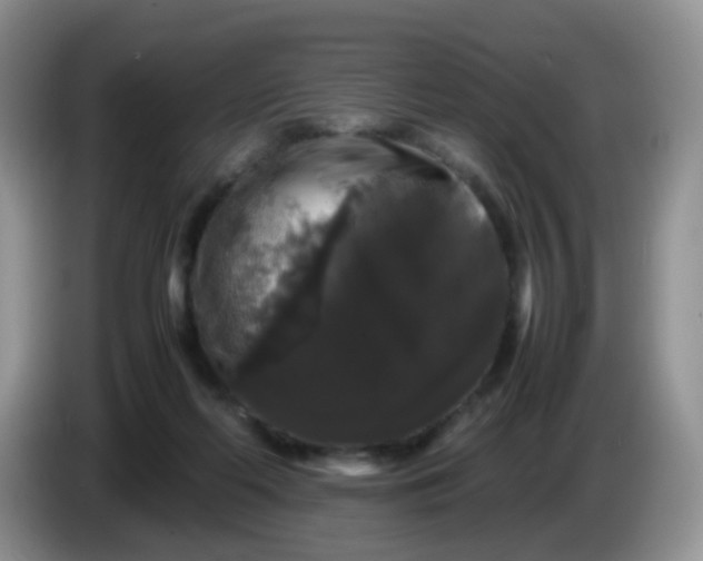 X0000086260214200704122016