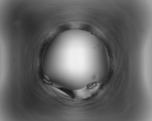 X0000086260215200704122016