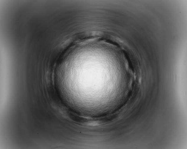 X0000086260218200704122016