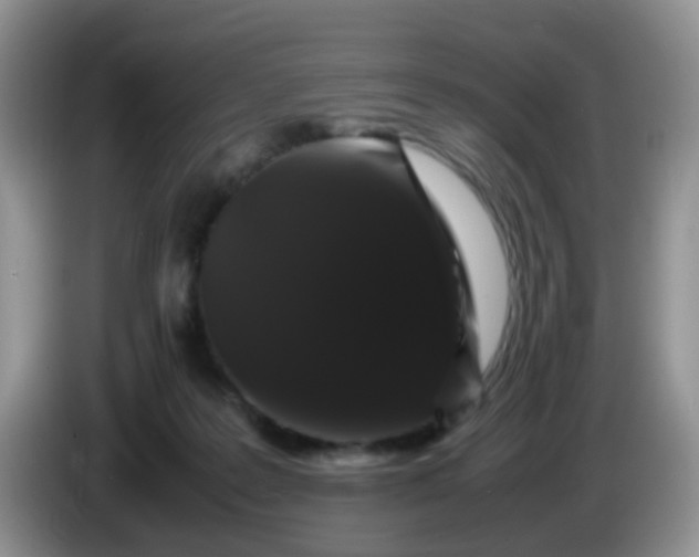 X0000086260219200704122016