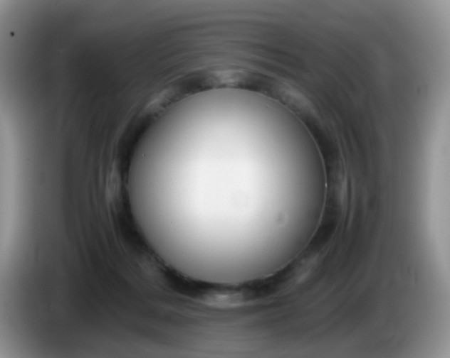 X0000086260220200704122016