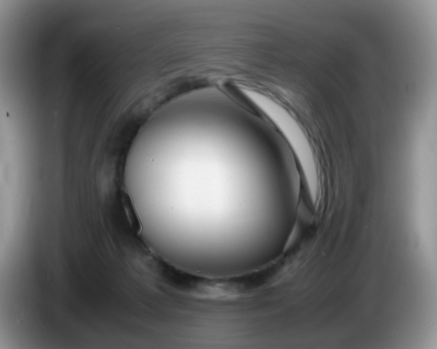 X0000086260221200704122016