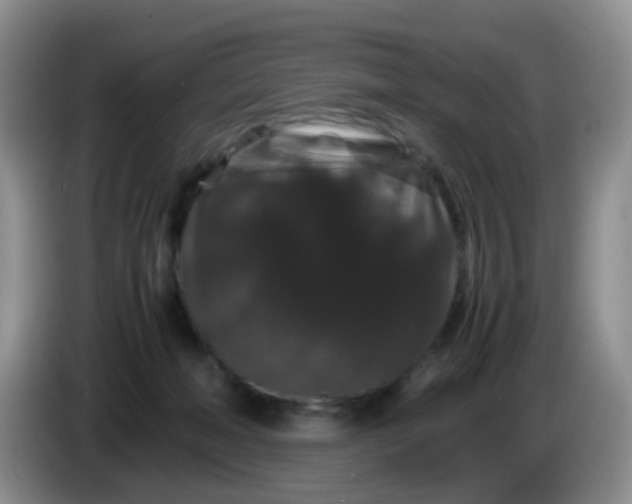 X0000086260222200704122016