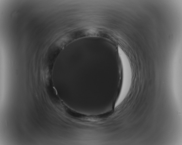 X0000086260223200704122016