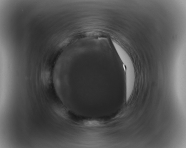 X0000086260224200704122016