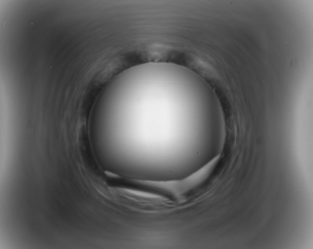 X0000086260225200704122016