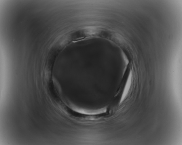 X0000086260227200704122016