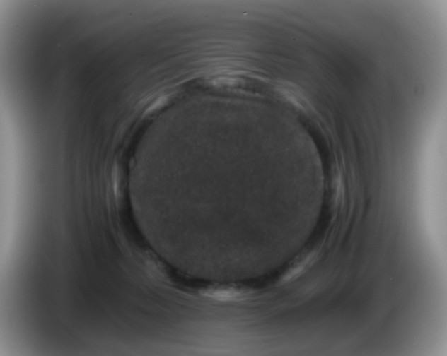 X0000086260228200704122016