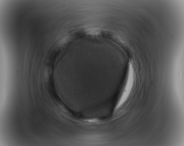 X0000086260229200704122016