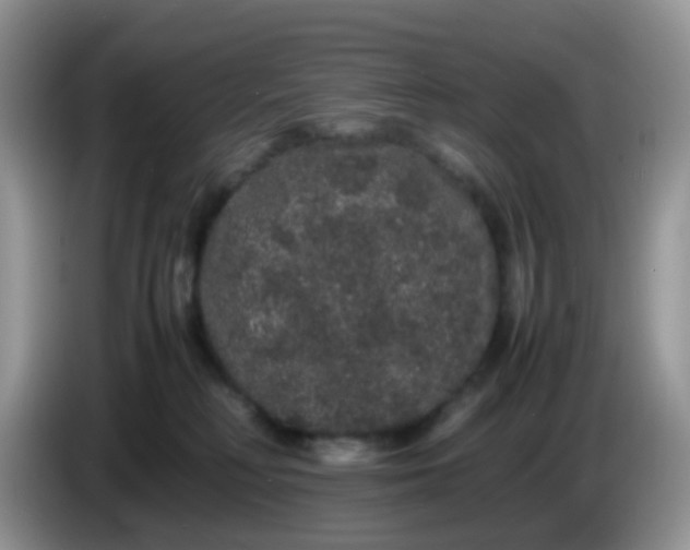 X0000086260230200704122016