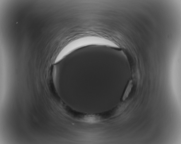 X0000086260231200704122016