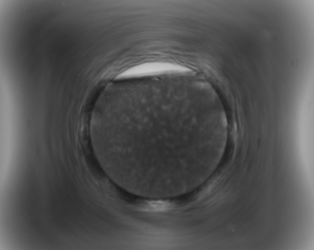 X0000086260233200704122016