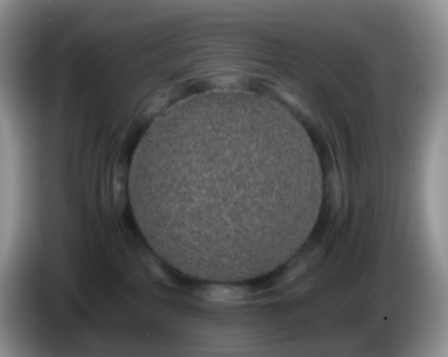 X0000086260234200704122016
