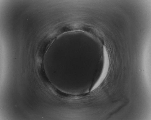X0000086260235200704122016