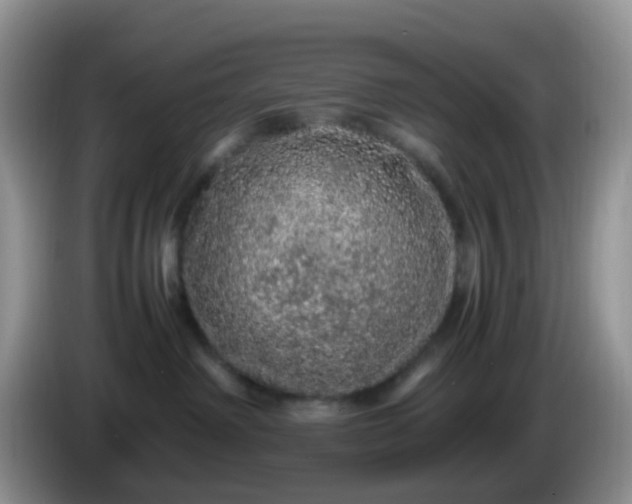X0000086260238200704122016