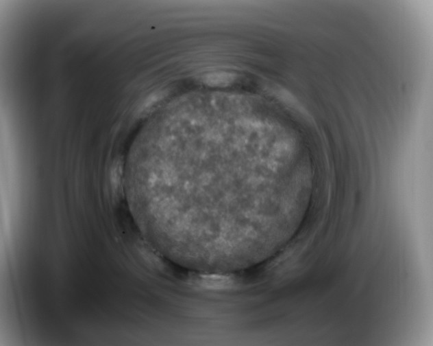 X0000086260240200704122016