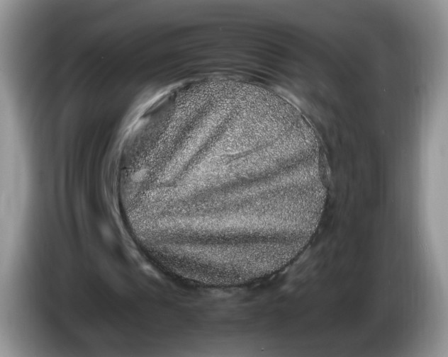 X0000086260241200704122015