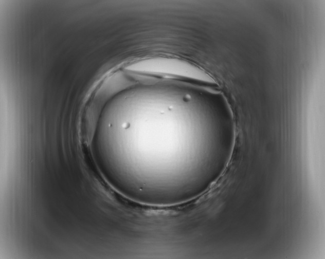 X0000086260242200704122015