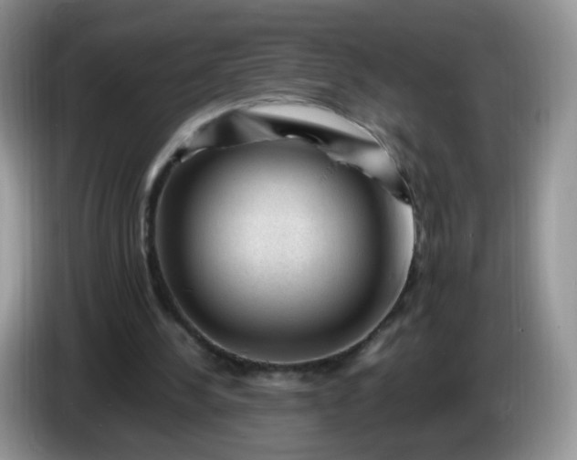 X0000086260244200704122015