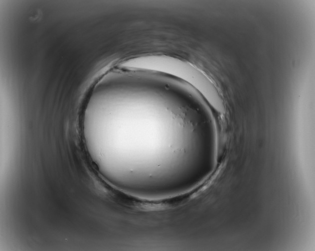 X0000086260245200704122015