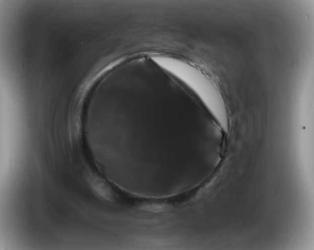 X0000086260247200704122015