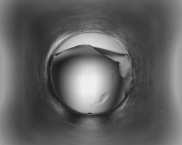 X0000086260248200704122015