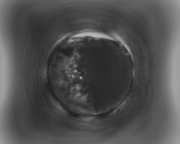 X0000086260249200704122015