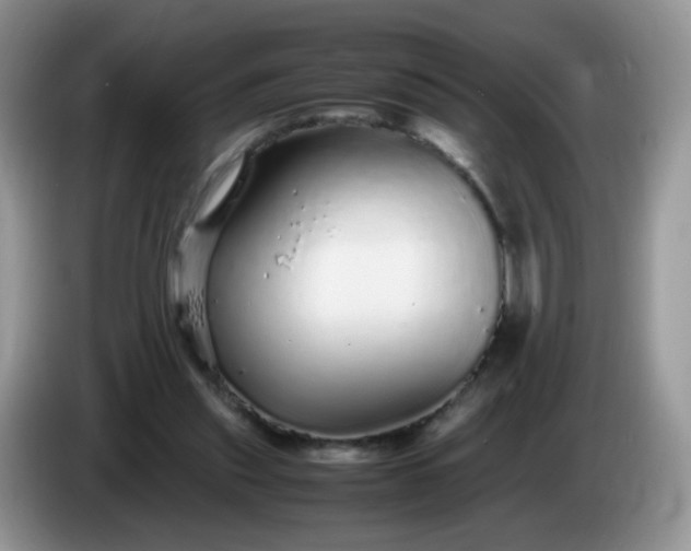 X0000086260253200704122015