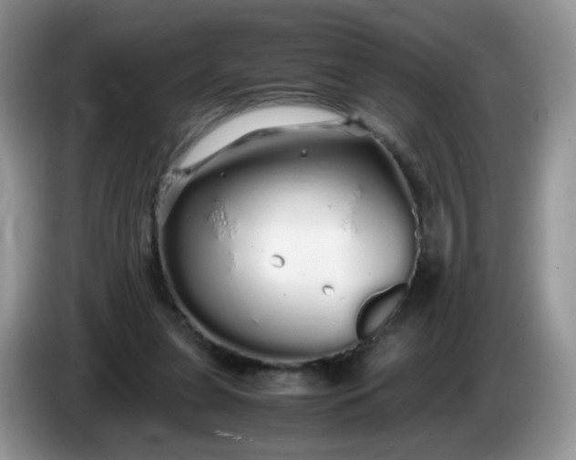 X0000086260255200704122015