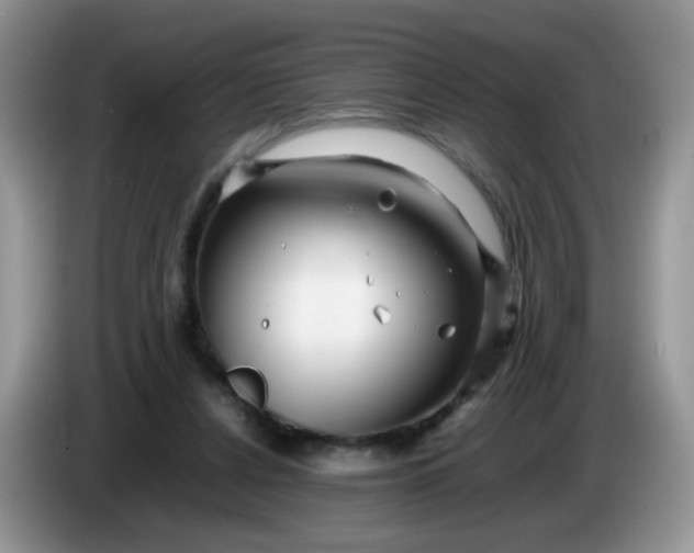 X0000086260256200704122015