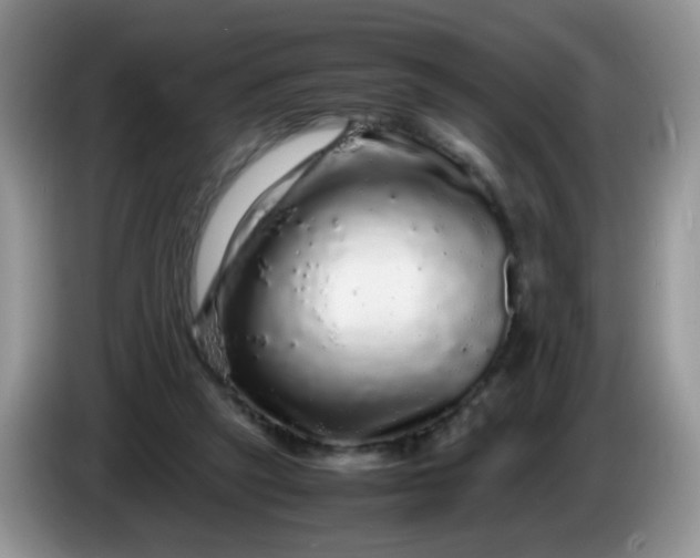 X0000086260257200704122015
