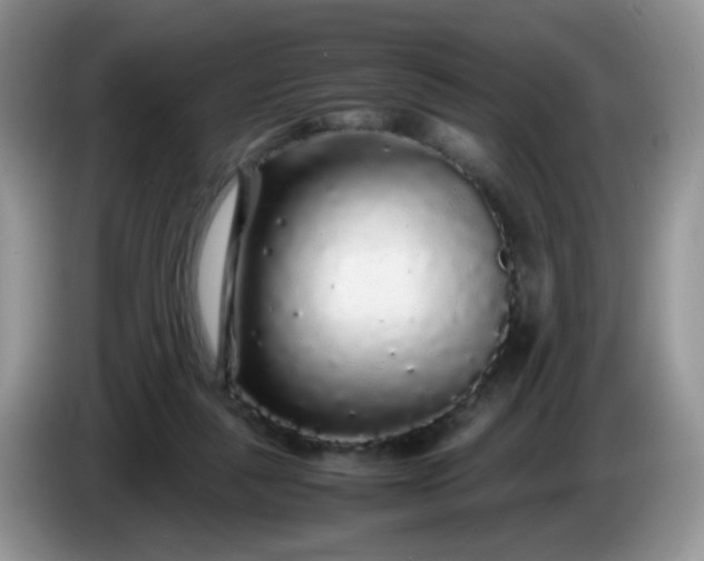 X0000086260259200704122015