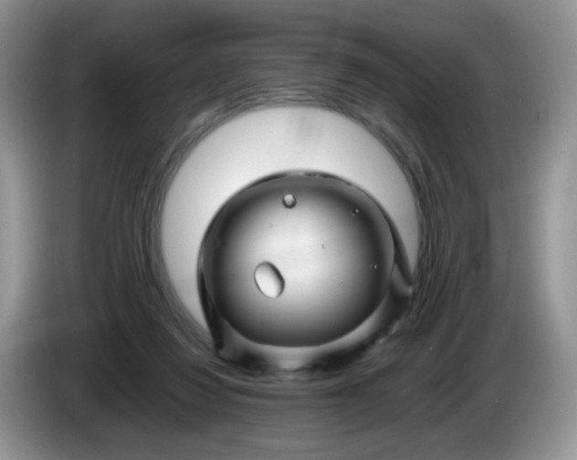 X0000086260260200704122015