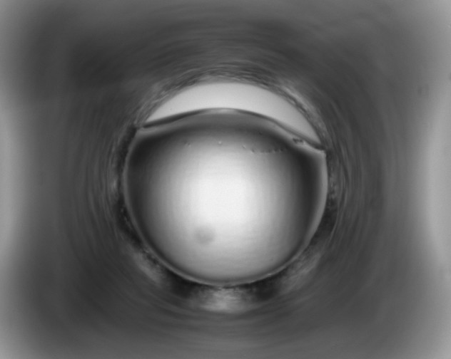 X0000086260261200704122015