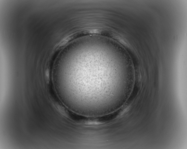 X0000086260262200704122015